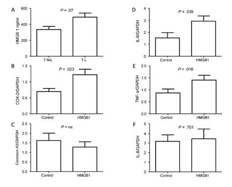 Hmgb1 In Placental Membranes A Hmgb1 Concentration In The