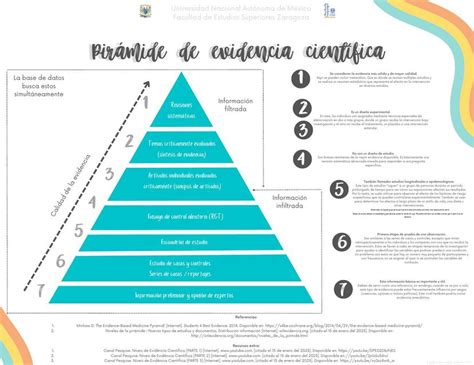Pir Mide De Evidencia Cient Fica Liz Udocz