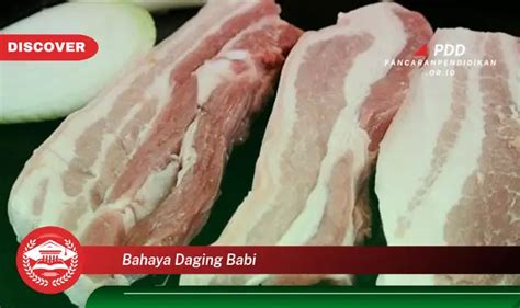 Intip 5 Bahaya Daging Babi Yang Jarang Diketahui