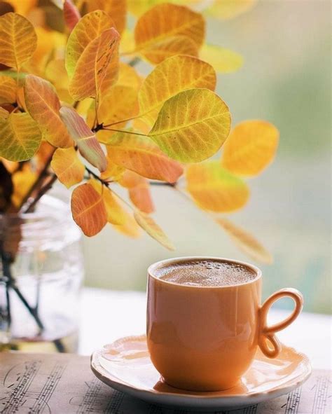 Pin By Roro Kalcev On Coffee Morning Coffee Photography Autumn