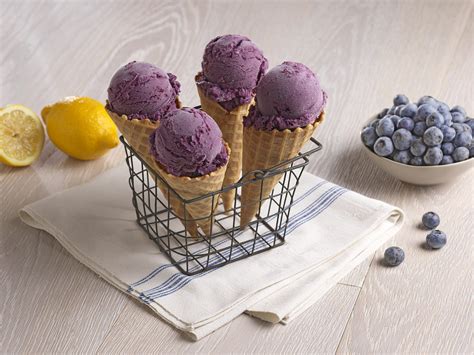 Classic Blueberry Ice Cream Recipe | Driscoll's