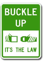 Buckle Up It S The Law Econosigns LLC