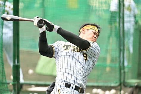 写真：【阪神】佐藤輝明の〝大進化〟を伊勢孝夫氏が評価 「2割8分」「30本」「100打点」見えた！ 東スポweb