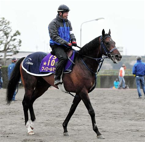 フィエールマンが有馬記念へ競馬・レースデイリースポーツ Online