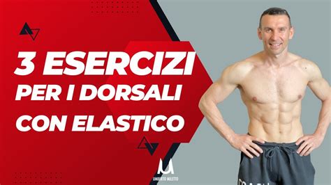 3 Esercizi Efficaci Per I Dorsali Con Elastico YouTube