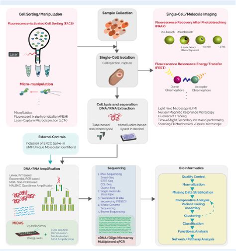 Figure 1 From Bioinformatics Approaches To Single Cell Analysis In