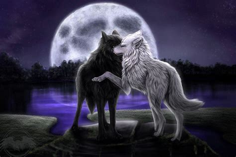 Wolf Dreamcatcher Wallpapers - Top Free Wolf Dreamcatcher Backgrounds ...