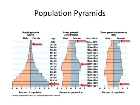 PPT - Understanding Population Pyramids PowerPoint Presentation - ID ...