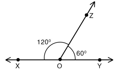 adjacent angles definition meaning examples