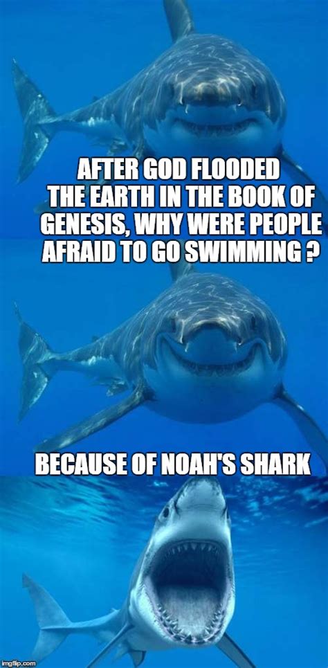 Noah's Ark Meme Need An Ark I Noah Guy Meme