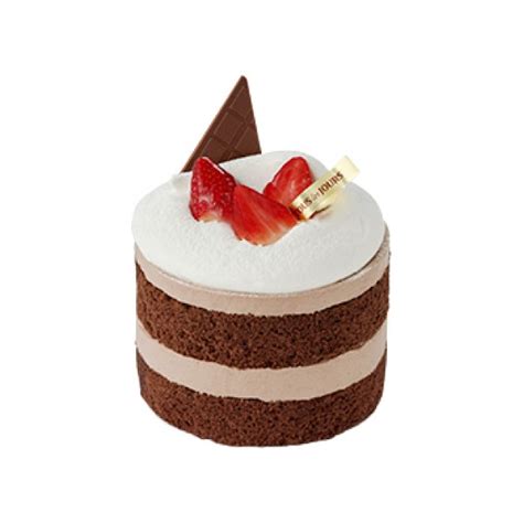 Choco Softly Chiffon Cake TOUS LES JOURS MONGOLIA