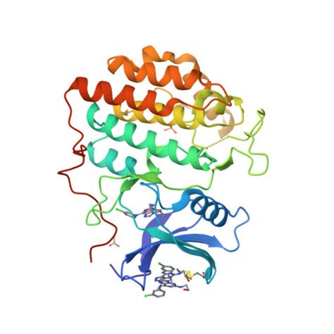 RCSB PDB 2CMW Structure Of Human Casein Kinase 1 Gamma 1 In Complex