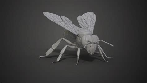 Honey Bee Animated 3d Turbosquid 1972520