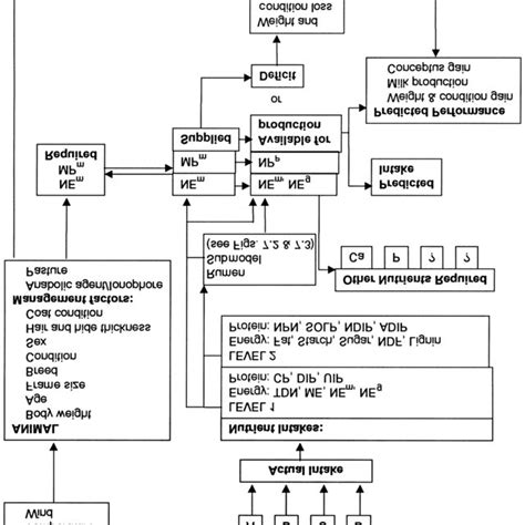 1 The Nrc 1996 Model Of Nutrient Requirements Of Beef Cattle Tdn Download Scientific