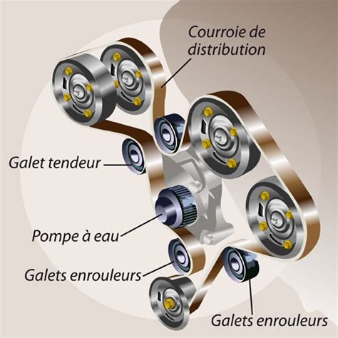 Comment Changer La Courroie De Distribution