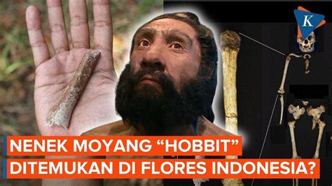 Fakta Baru Penemuan Nenek Moyang Hobbit Di Pulau Flores Indonesia