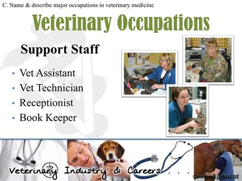 Ppt Veterinary Industry And Careers Powerpoint Presentation Free