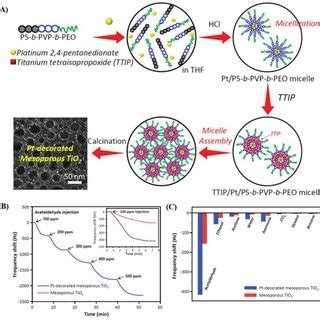 A Schematic Illustration Of The Synthetic Process Of Ptdecorated
