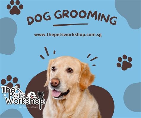 Essential Dog Grooming Tips for a Happy and Healthy Pup — The Pets ...