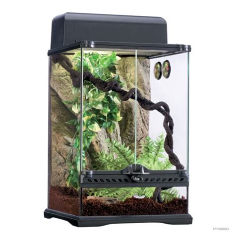 Habitat Kit Rainforest Medium