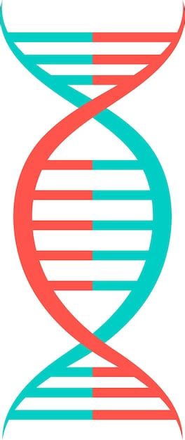 Premium Vector Illustration Of DNA