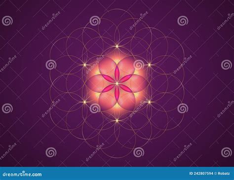 Seme Di Geometria Sacra Del Simbolo Di Vita Logo D Oro Icona Mistica