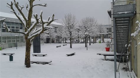 Article 2 Lycée Lino Ventura Ozoir la Ferrière 77