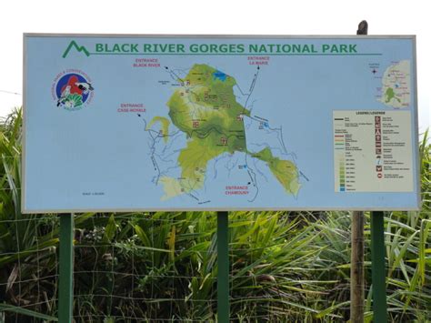 Black River Gorges National Park Mauritius Wilderness Gem