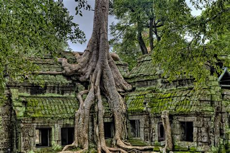 Temple De Ta Prohm Découverte Au Cambodge Cambodia Roads