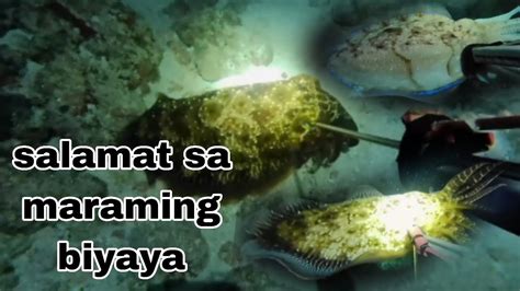 Ep18 Salamat Sa Maraming Biyaya Night Sperfishing Philippines Youtube