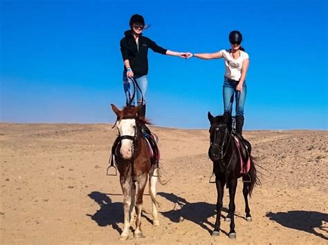 Hurghada Sunset Sea And Desert Horse Riding Tour Getyourguide