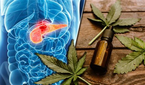 CBD Cancer Treatments What You Need To Know Brookside CBD