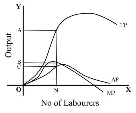 What Is The Differences Between A Total Production Curve Tpc