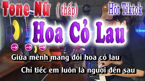 Hoa Cỏ Lau Karaoke Tone Nữ Thấp Cm song nhien karaoke Chords Chordify