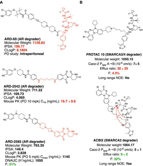 Frontiers Key Considerations In Targeted Protein Degradation Drug Discovery And Development