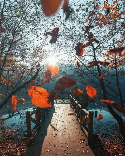 Fantastic Autumn Pictures Others