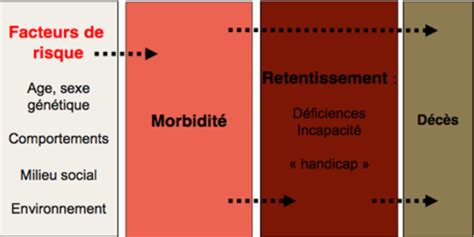 Epidemiologie Merle 2 Flashcards Quizlet