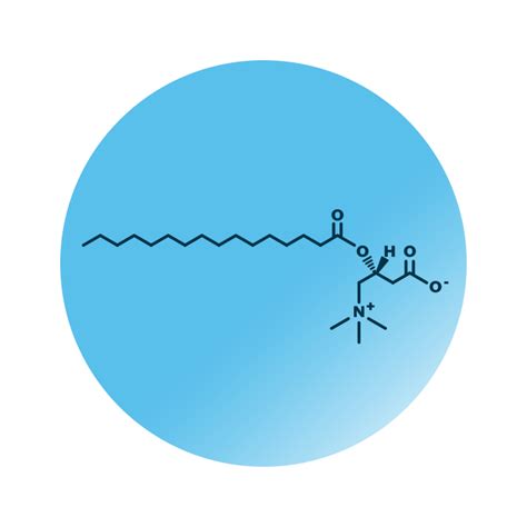 Acylcarnitine Analysis - Lipid Analysis - Lipotype GmbH