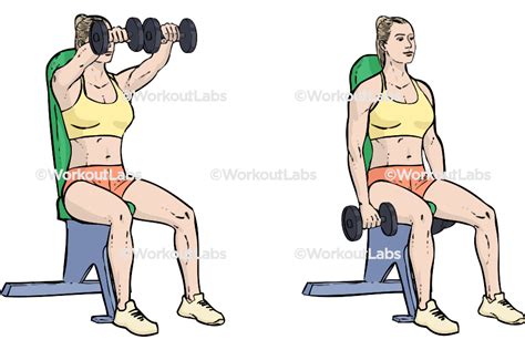 Dumbbell Incline Seated Front Raise