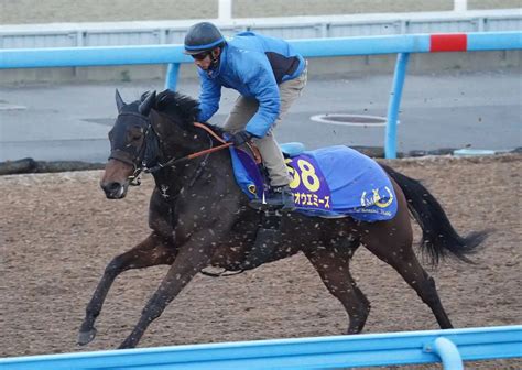 【有馬記念】ホウオウエミーズ 余力残しでキビキビと、池上師「有馬の舞台に立てるだけで感謝」 スポニチ競馬web