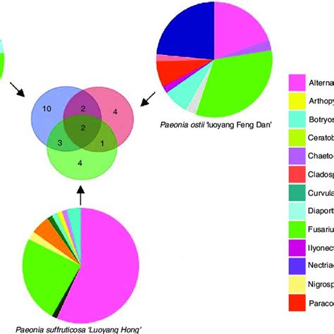 Pie Charts Show The Relative Abundance Of The Dominant Culturable