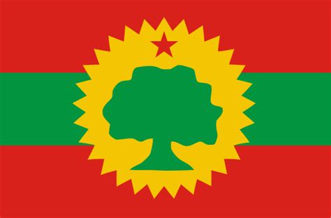 Flag of the Oromo Liberation Front | MNopedia