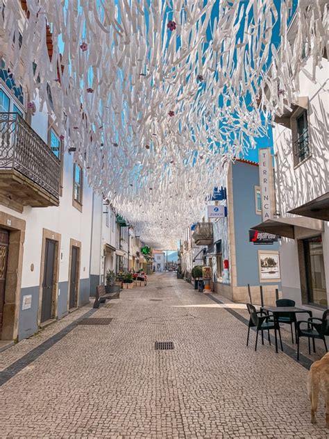 Festa da Amendoeira em Flor Vila Nova de Foz Côa Impactplan Art