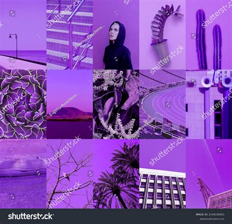 Set Trendy Aesthetic Photo Collages Minimalistic Stock Photo 2144192603 ...