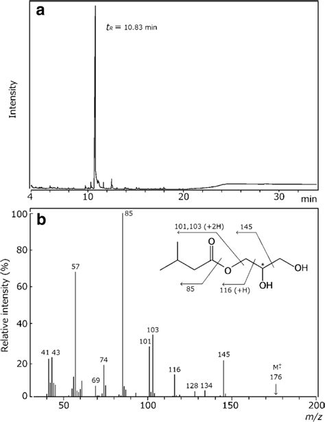 Gcms Analysis Of The Methanol Fraction From Silica Gel Column