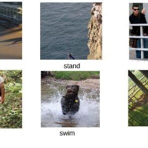 examples  incorrect verbs  scientific diagram