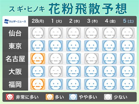 東京や神奈川など1都11県で花粉飛散が本格化（ウェザーニュース）