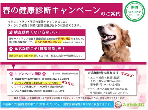 健康診断キャンペーンのお知らせ｜みき動物病院 越谷市千間台本院・越谷市大里分院