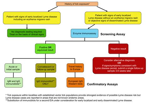 Lyme Disease For Health Professionals Canadaca