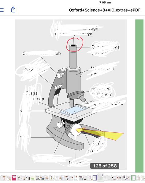 Science Flashcards Memorang